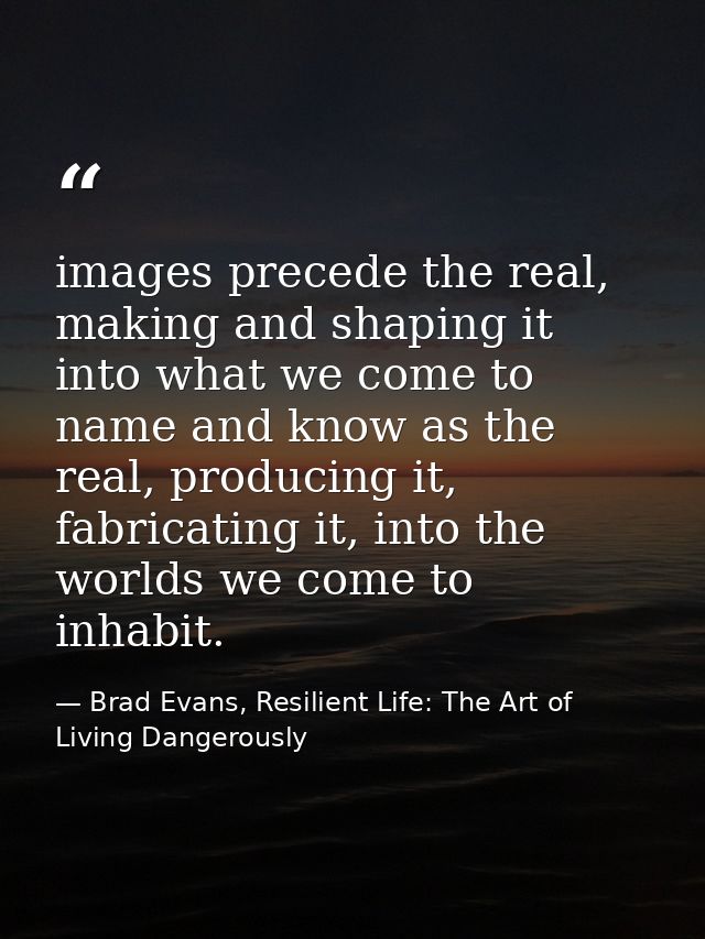 images precede the real, making and shaping it into what we come to name and know as the real, producing it, fabricating — Brad Evans, Resilient Life: The Art of Living Dangerously
