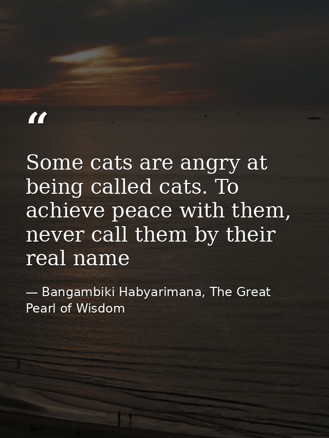 Some cats are angry at being called cats. To achieve peace with them, never call them by their real name — Bangambiki Habyarimana, The Great Pearl of Wisdom