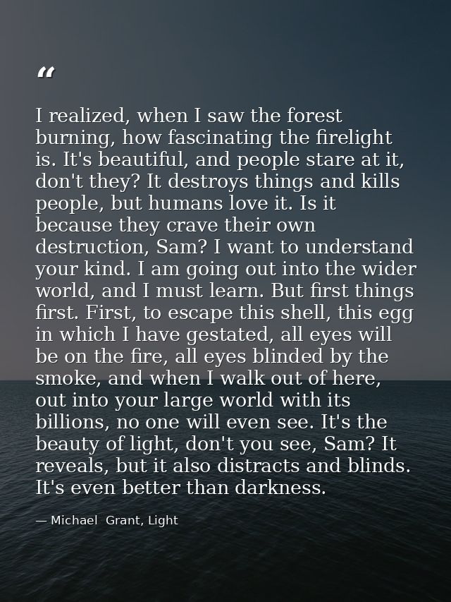 I realized, when I saw the forest burning, how fascinating the firelight is. It's beautiful, and people stare at it, don — Michael  Grant, Light