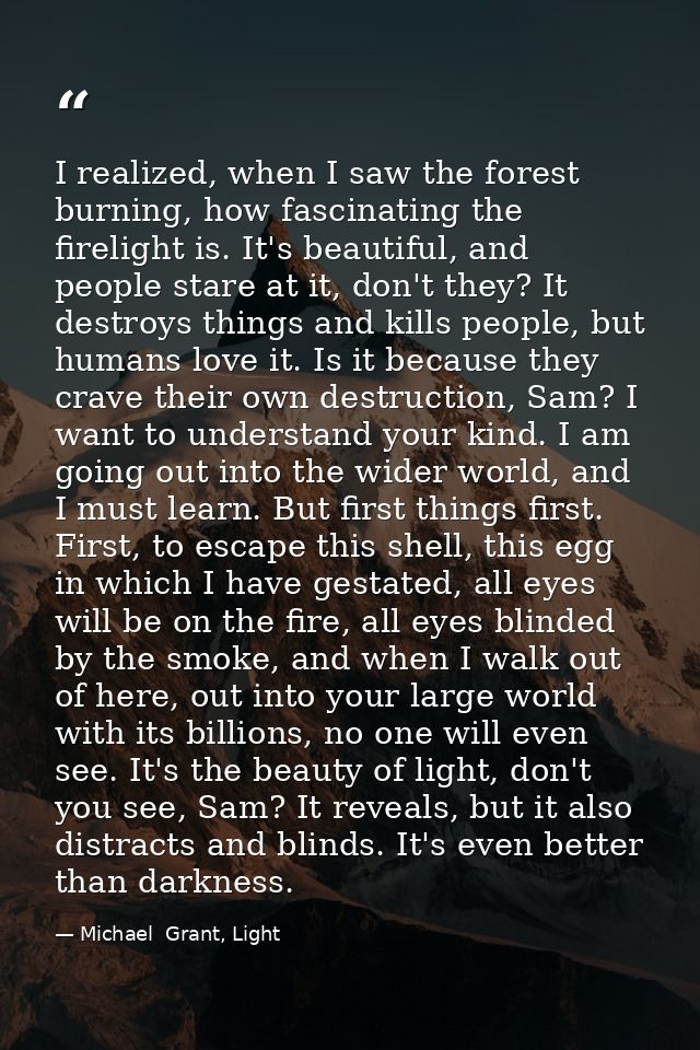 I realized, when I saw the forest burning, how fascinating the firelight is. It's beautiful, and people stare at it, don — Michael  Grant, Light