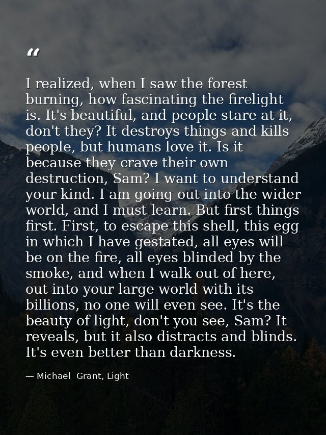 I realized, when I saw the forest burning, how fascinating the firelight is. It's beautiful, and people stare at it, don — Michael  Grant, Light
