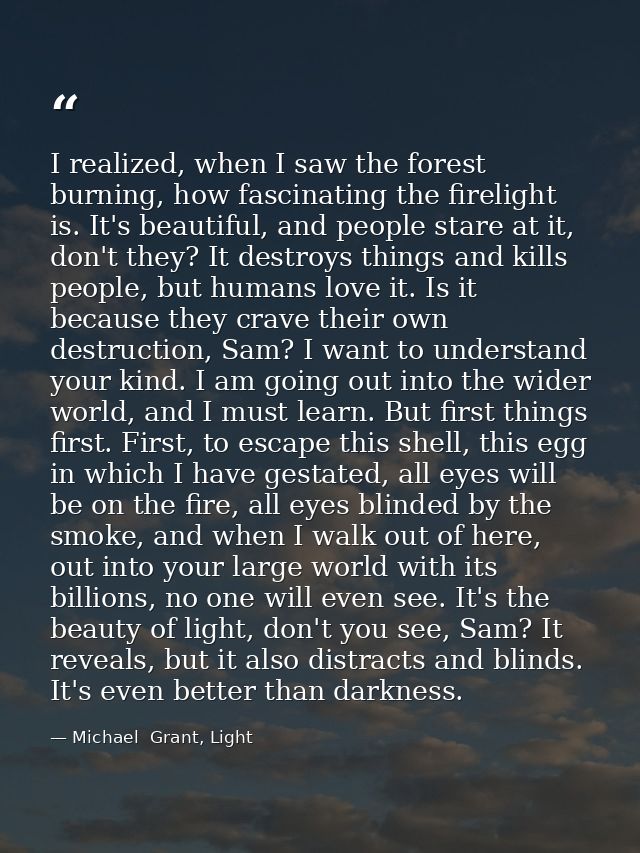 I realized, when I saw the forest burning, how fascinating the firelight is. It's beautiful, and people stare at it, don — Michael  Grant, Light