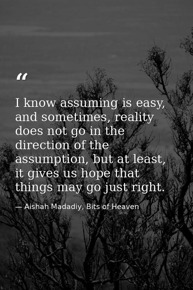 I know assuming is easy, and sometimes, reality does not go in the direction of the assumption, but at least, it gives u — Aishah Madadiy, Bits of Heaven