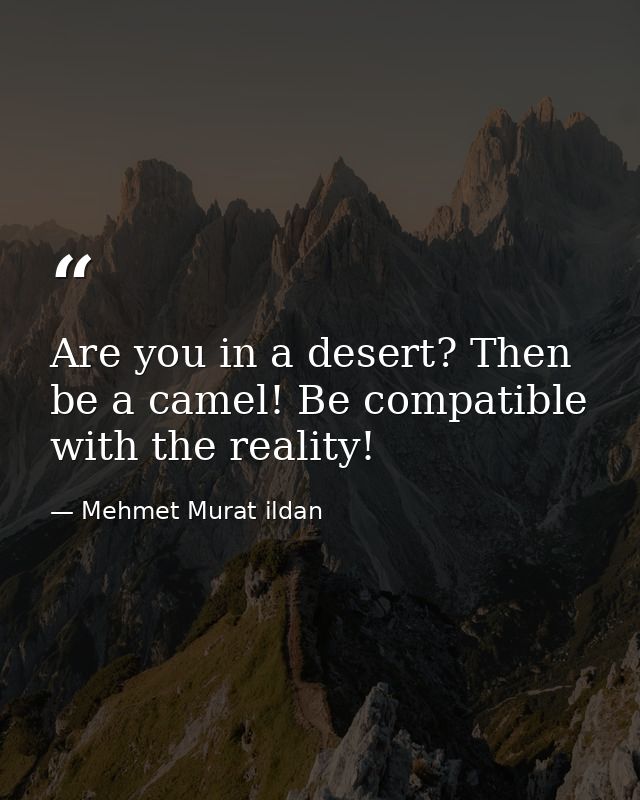Are you in a desert? Then be a camel! Be compatible with the reality! — Mehmet Murat ildan