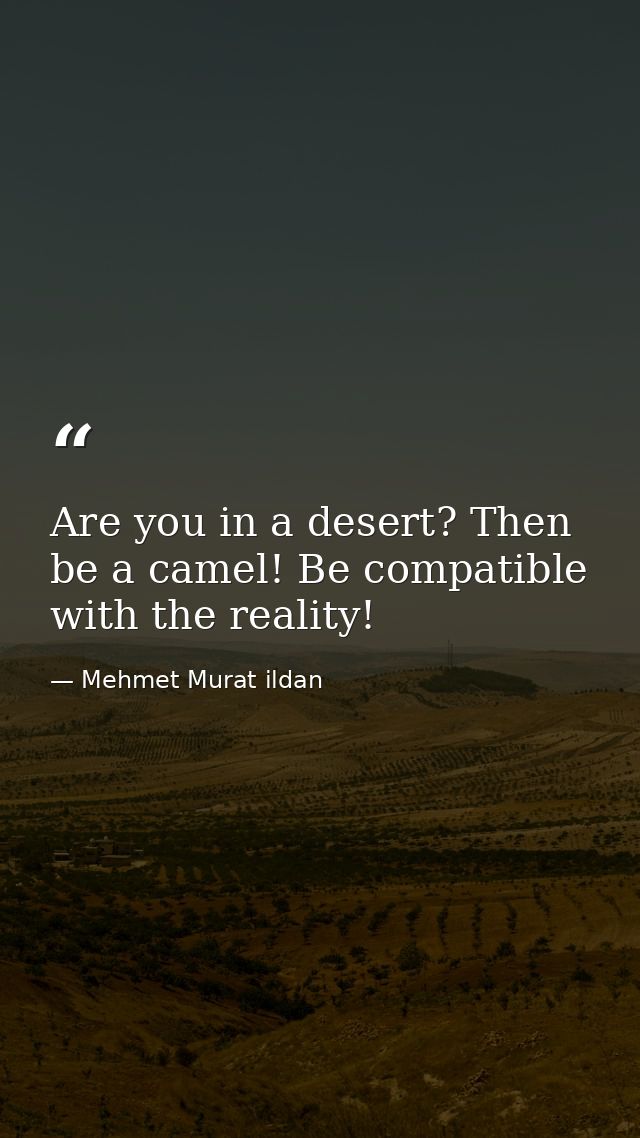 Are you in a desert? Then be a camel! Be compatible with the reality! — Mehmet Murat ildan