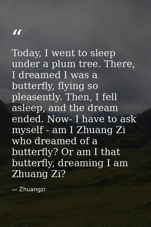 Today, I went to sleep under a plum tree. There, I dreamed I was a butterfly, flying so pleasently. Then, I fell asleep, — Zhuangzi