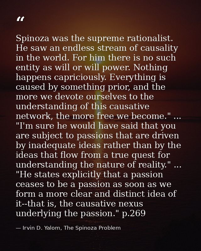 Spinoza was the supreme rationalist. He saw an endless stream of causality in the world. For him there is no such entity — Irvin D. Yalom, The Spinoza Problem