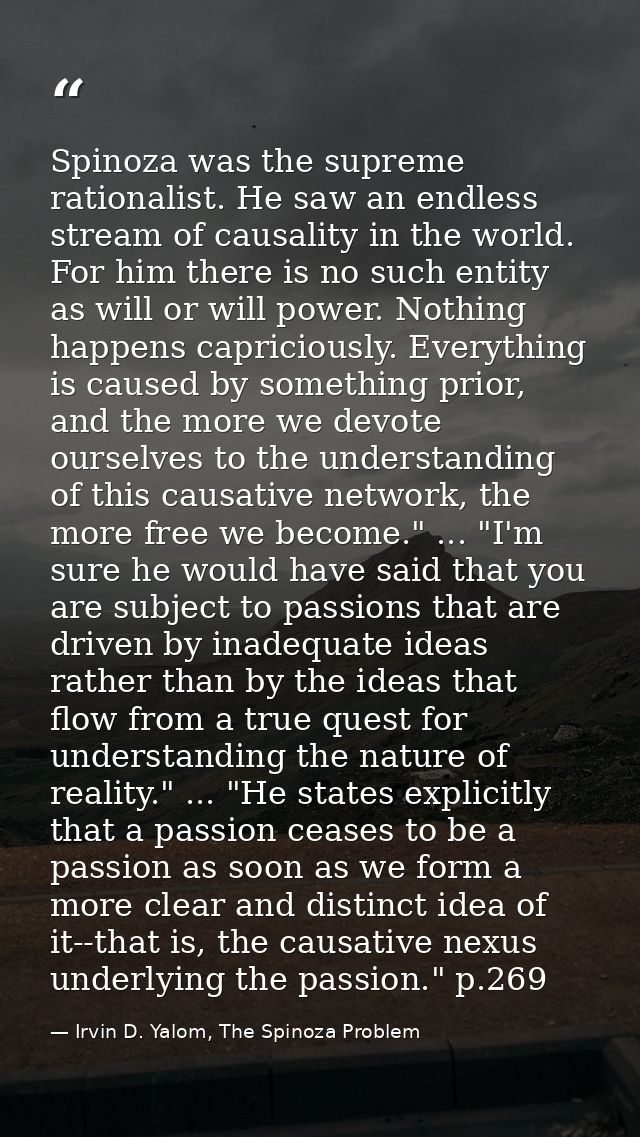 Spinoza was the supreme rationalist. He saw an endless stream of causality in the world. For him there is no such entity — Irvin D. Yalom, The Spinoza Problem