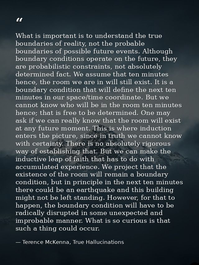 What is important is to understand the true boundaries of reality, not the probable boundaries of possible future events — Terence McKenna, True Hallucinations