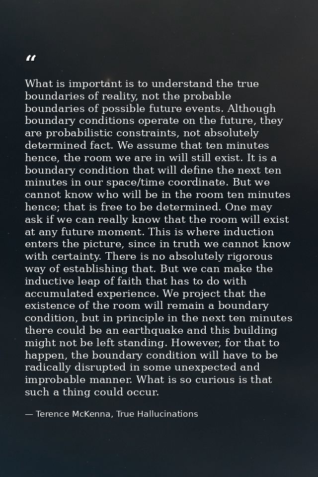 What is important is to understand the true boundaries of reality, not the probable boundaries of possible future events — Terence McKenna, True Hallucinations