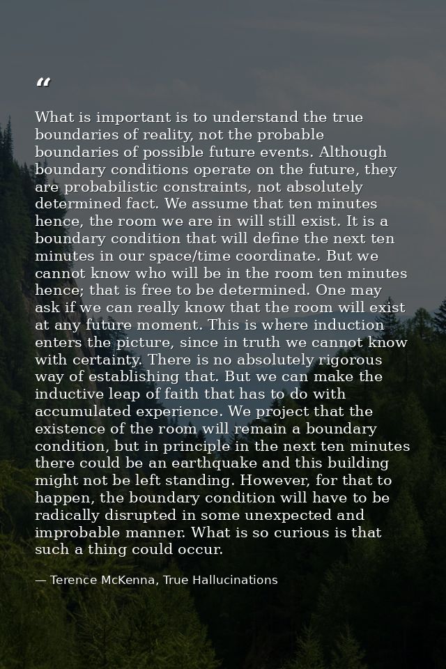 What is important is to understand the true boundaries of reality, not the probable boundaries of possible future events — Terence McKenna, True Hallucinations
