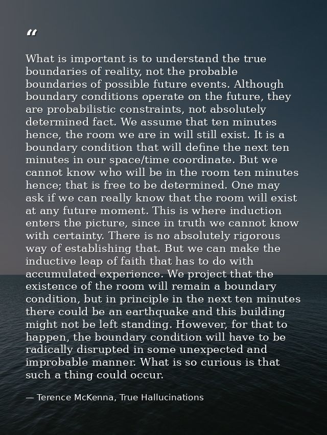 What is important is to understand the true boundaries of reality, not the probable boundaries of possible future events — Terence McKenna, True Hallucinations