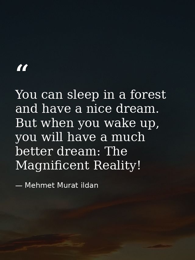 You can sleep in a forest and have a nice dream. But when you wake up, you will have a much better dream: The Magnificen — Mehmet Murat ildan