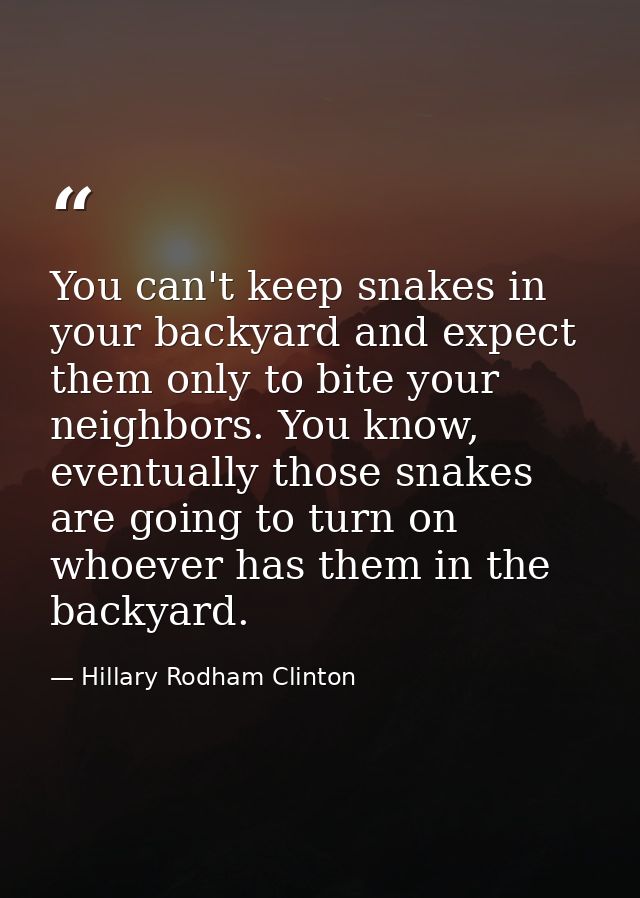 You can't keep snakes in your backyard and expect them only to bite your neighbors. You know, eventually those snakes ar — Hillary Rodham Clinton