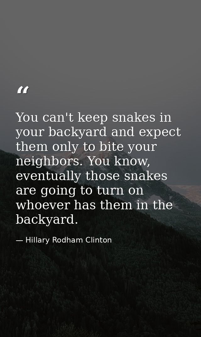 You can't keep snakes in your backyard and expect them only to bite your neighbors. You know, eventually those snakes ar — Hillary Rodham Clinton