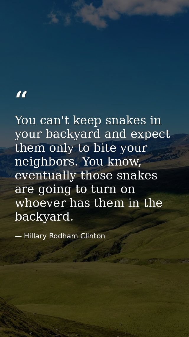 You can't keep snakes in your backyard and expect them only to bite your neighbors. You know, eventually those snakes ar — Hillary Rodham Clinton