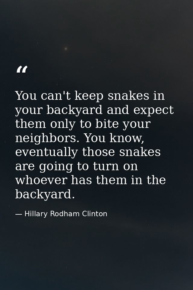 You can't keep snakes in your backyard and expect them only to bite your neighbors. You know, eventually those snakes ar — Hillary Rodham Clinton