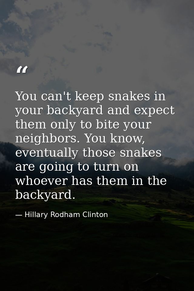 You can't keep snakes in your backyard and expect them only to bite your neighbors. You know, eventually those snakes ar — Hillary Rodham Clinton