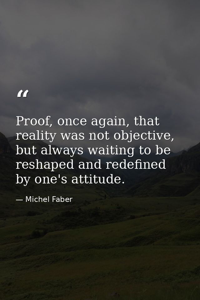 Proof, once again, that reality was not objective, but always waiting to be reshaped and redefined by one's attitude. — Michel Faber