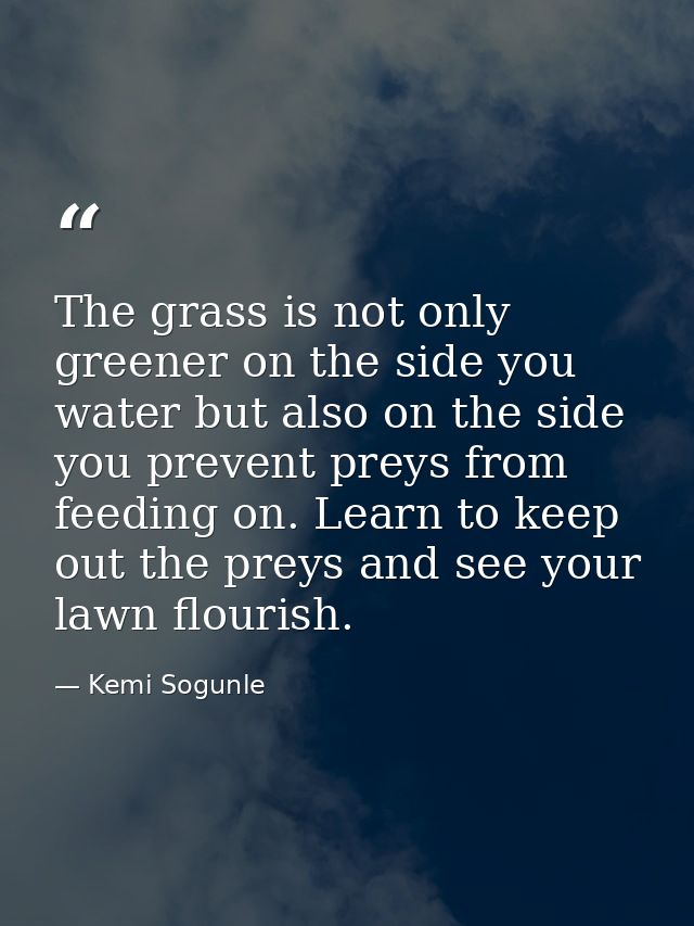 The grass is not only greener on the side you water but also on the side you prevent preys from feeding on. Learn to kee — Kemi Sogunle