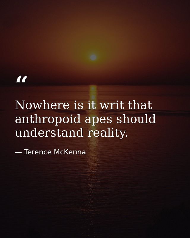 Nowhere is it writ that anthropoid apes should understand reality. — Terence McKenna