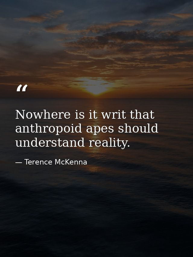 Nowhere is it writ that anthropoid apes should understand reality. — Terence McKenna