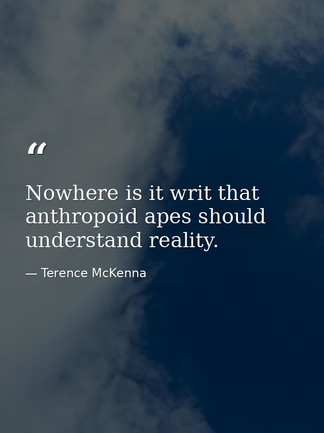 Nowhere is it writ that anthropoid apes should understand reality. — Terence McKenna