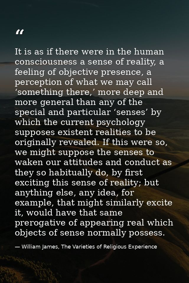 It is as if there were in the human consciousness a sense of reality, a feeling of objective presence, a perception of w — William James, The Varieties of Religious Experience