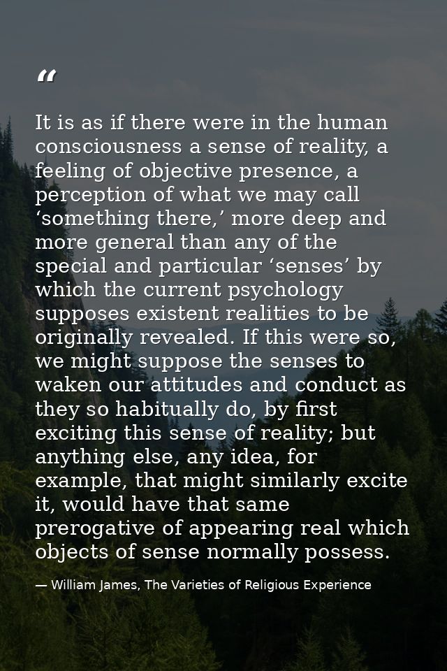 It is as if there were in the human consciousness a sense of reality, a feeling of objective presence, a perception of w — William James, The Varieties of Religious Experience