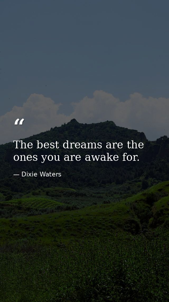 The best dreams are the ones you are awake for. — Dixie Waters