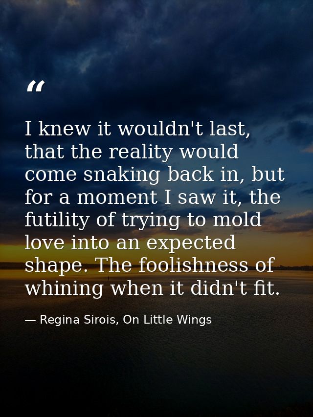 I knew it wouldn't last, that the reality would come snaking back in, but for a moment I saw it, the futility of trying  — Regina Sirois, On Little Wings