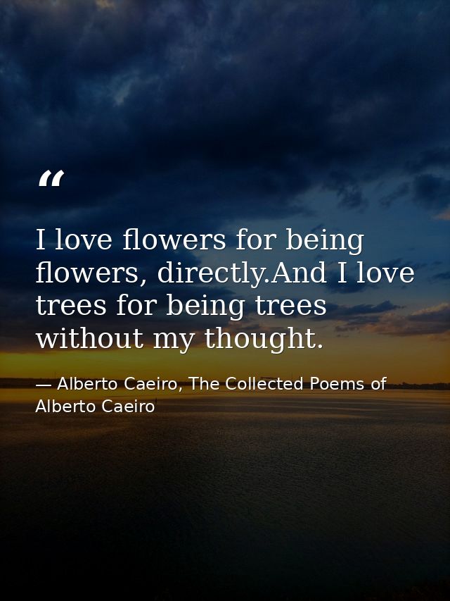 I love flowers for being flowers, directly.And I love trees for being trees without my thought. — Alberto Caeiro, The Collected Poems of Alberto Caeiro