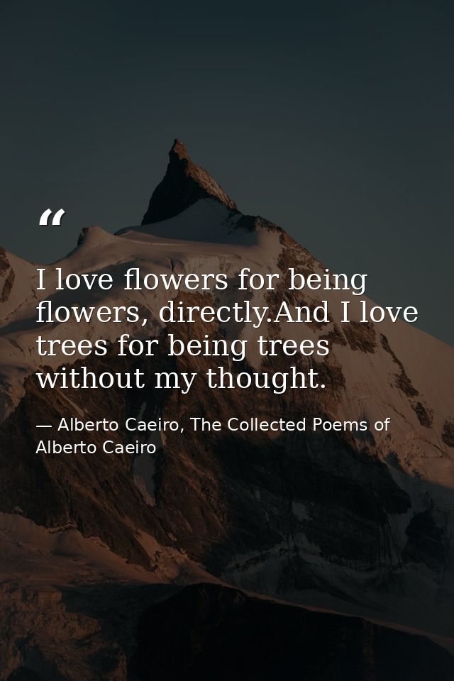 I love flowers for being flowers, directly.And I love trees for being trees without my thought. — Alberto Caeiro, The Collected Poems of Alberto Caeiro