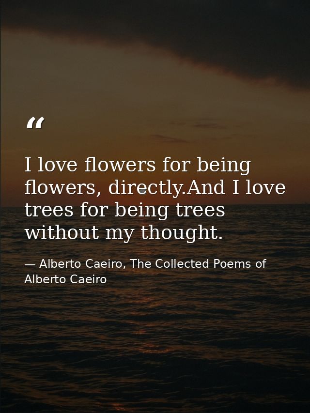 I love flowers for being flowers, directly.And I love trees for being trees without my thought. — Alberto Caeiro, The Collected Poems of Alberto Caeiro