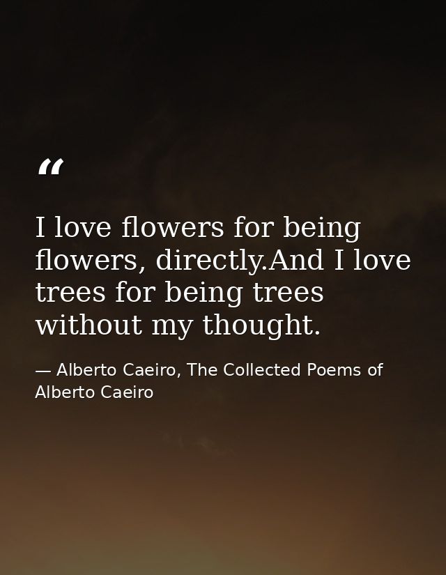 I love flowers for being flowers, directly.And I love trees for being trees without my thought. — Alberto Caeiro, The Collected Poems of Alberto Caeiro