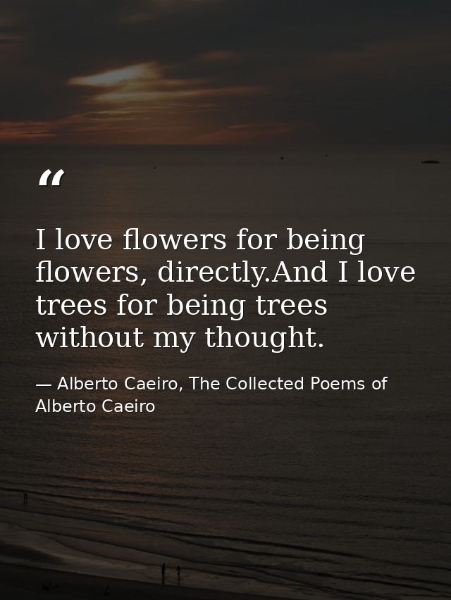 I love flowers for being flowers, directly.And I love trees for being trees without my thought. — Alberto Caeiro, The Collected Poems of Alberto Caeiro