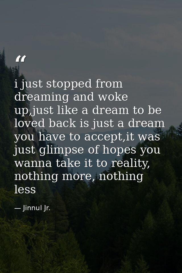 i just stopped from dreaming and woke up,just like a dream to be loved back is just a dream you have to accept,it was ju — Jinnul Jr.
