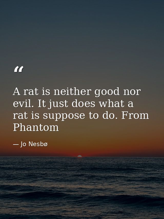 A rat is neither good nor evil. It just does what a rat is suppose to do. From Phantom — Jo Nesbø