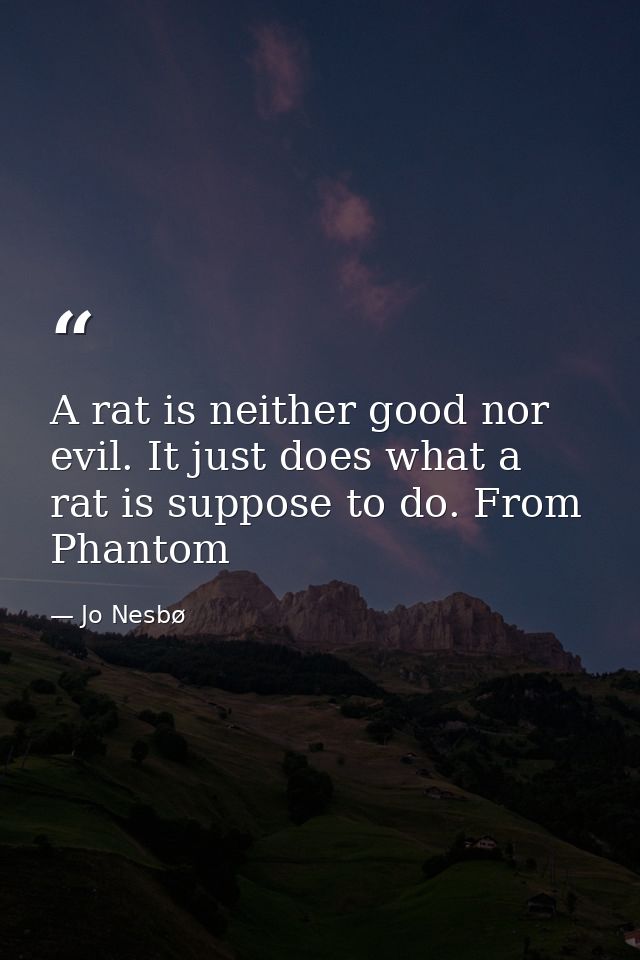A rat is neither good nor evil. It just does what a rat is suppose to do. From Phantom — Jo Nesbø
