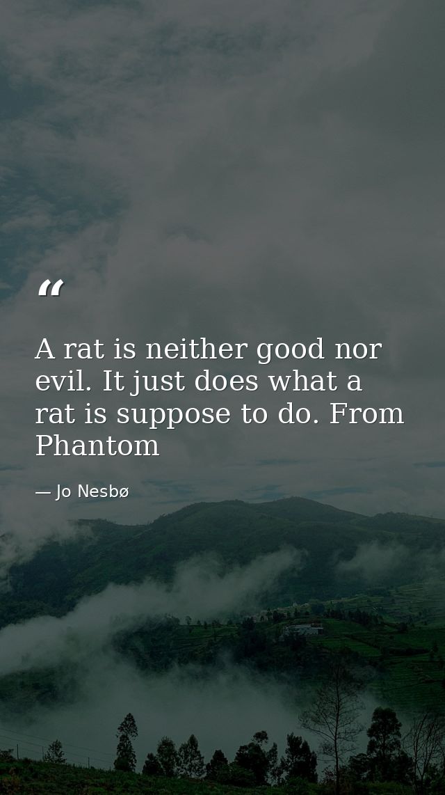 A rat is neither good nor evil. It just does what a rat is suppose to do. From Phantom — Jo Nesbø