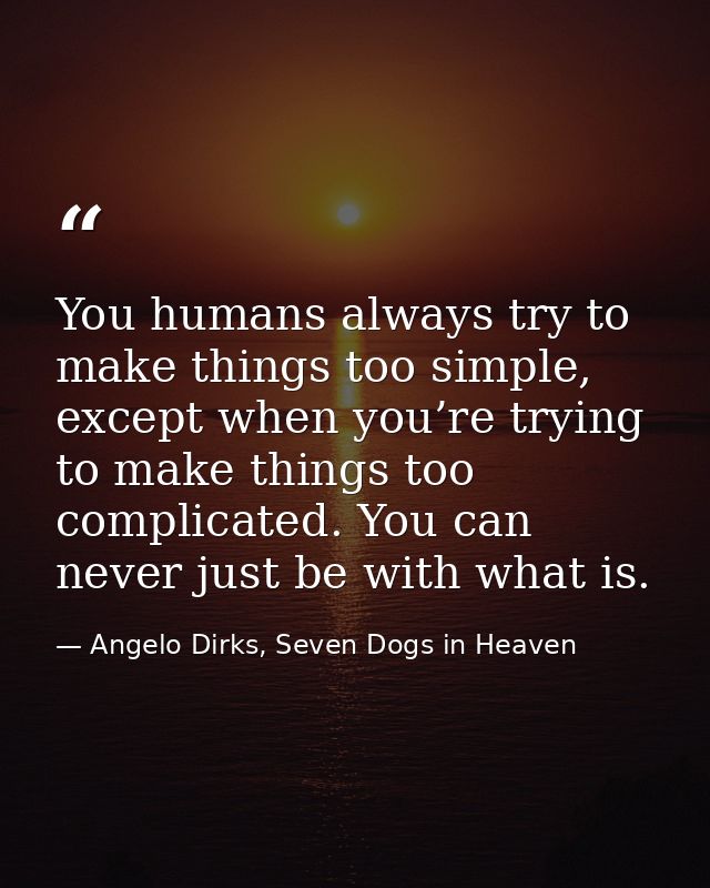 You humans always try to make things too simple, except when you’re trying to make things too complicated. You can never — Angelo Dirks, Seven Dogs in Heaven