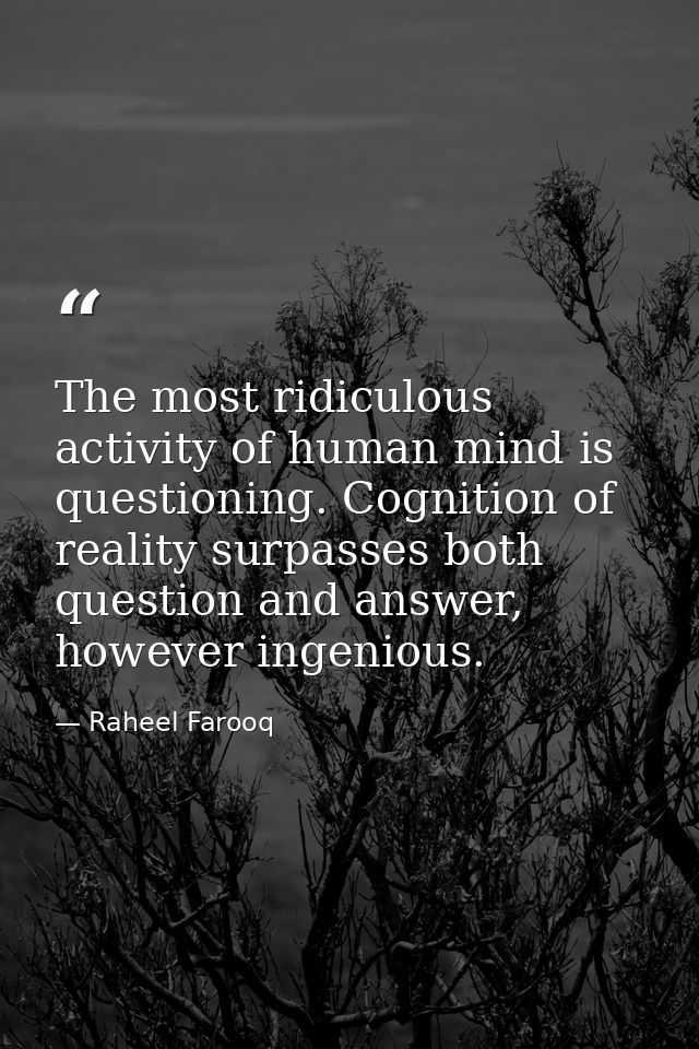The most ridiculous activity of human mind is questioning. Cognition of reality surpasses both question and answer, howe — Raheel Farooq
