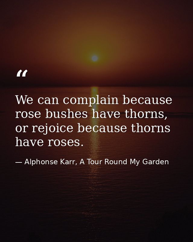 We can complain because rose bushes have thorns, or rejoice because thorns have roses. — Alphonse Karr, A Tour Round My Garden