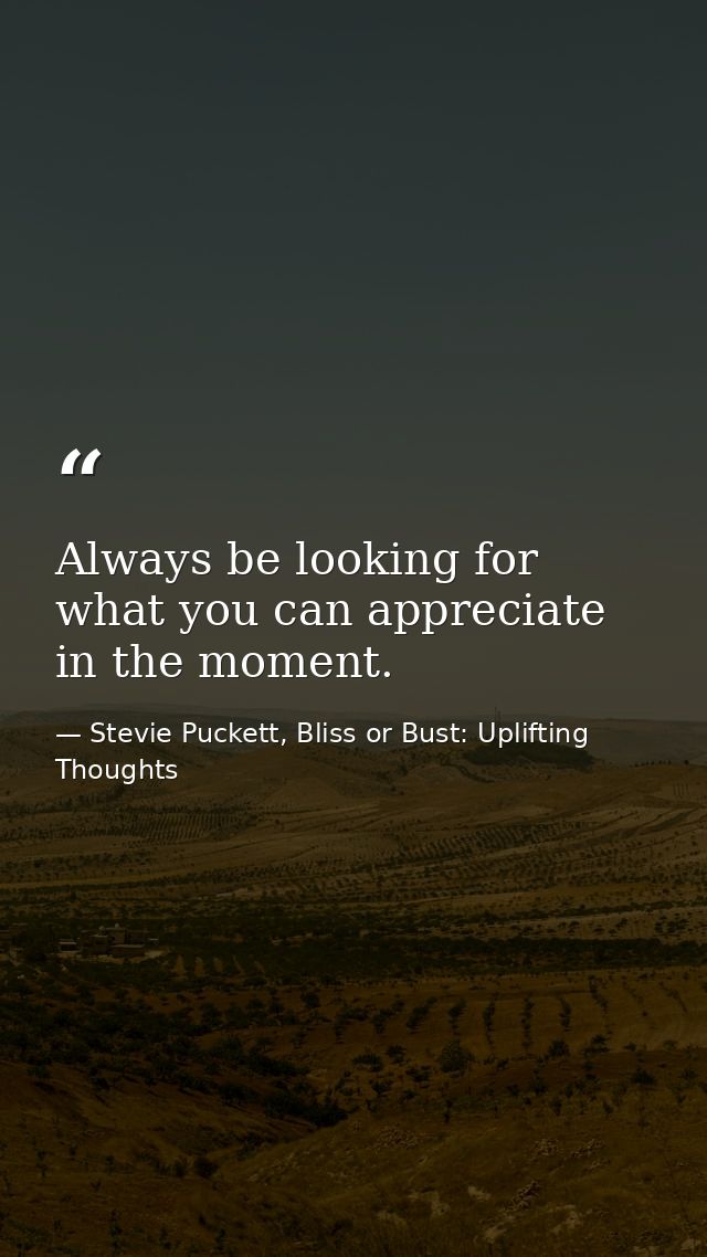 Always be looking for what you can appreciate in the moment. — Stevie Puckett, Bliss or Bust: Uplifting Thoughts
