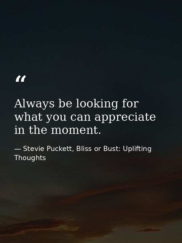 Always be looking for what you can appreciate in the moment. — Stevie Puckett, Bliss or Bust: Uplifting Thoughts