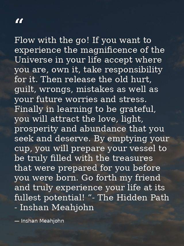 Flow with the go! If you want to experience the magnificence of the Universe in your life accept where you are, own it,  — Inshan Meahjohn