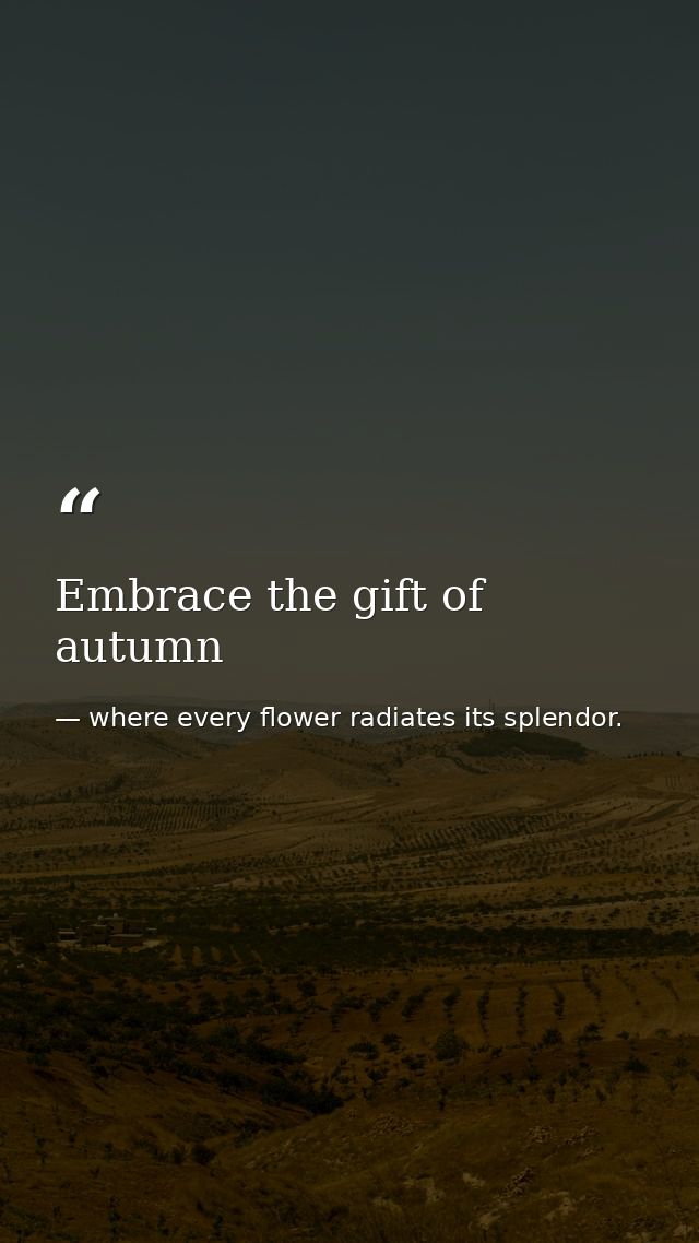 Embrace the gift of autumn — where every flower radiates its splendor.