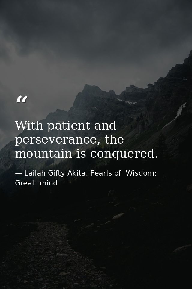 With patient and perseverance, the mountain is conquered. — Lailah Gifty Akita, Pearls of  Wisdom: Great  mind