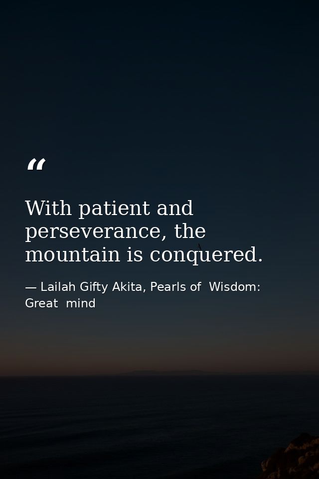 With patient and perseverance, the mountain is conquered. — Lailah Gifty Akita, Pearls of  Wisdom: Great  mind