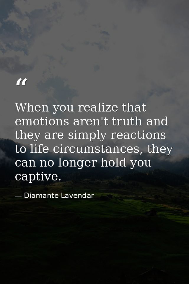 When you realize that emotions aren't truth and they are simply reactions to life circumstances, they can no longer hold — Diamante Lavendar